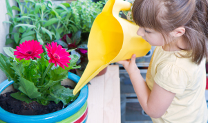Gardening for Kids - Blog post - Small