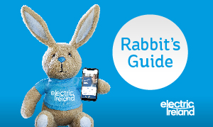 EI - Calendar 2022_Rabbits Guide 300x178px[4723]