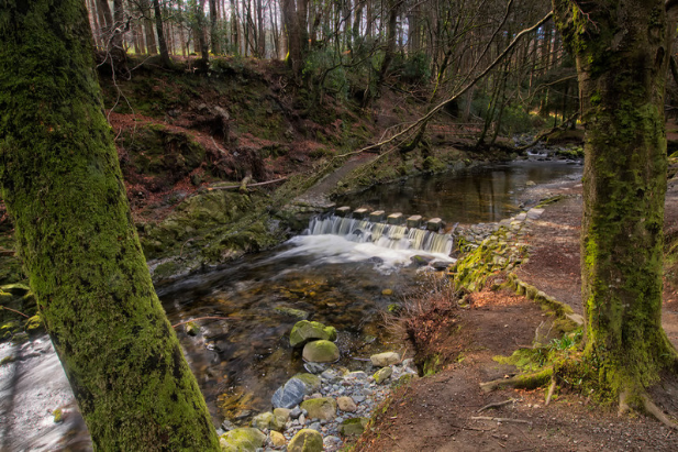 Tollymore Country Park -  family park - Electric Ireland